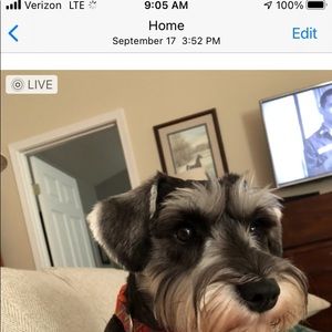 Meet your Posher, Nancy